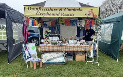 Dalbeattie Civic Daze – 12th August