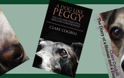 Fabulous Donations From Acclaimed Author, Clare Cogbill – 4th August
