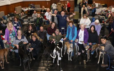 The Annual DCGR Fun Show