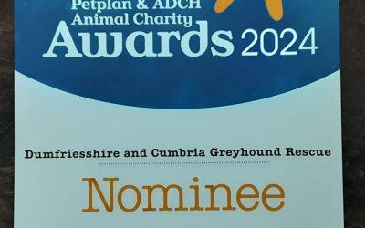 Animal Charity Of The Year 2024 Nomination – 20th January