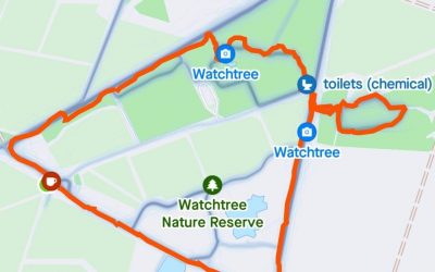 Watchtree Nature Reserve, Wiggonby, Cumbria