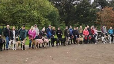 Great Global Greyhound Walk, 28th Sept 2025