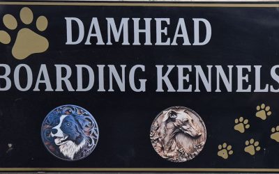 Damhead Boarding Kennels – Open Day!